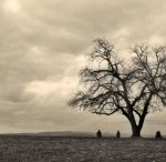 Resettlement Project Coming to a Close