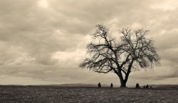 feeling all alone